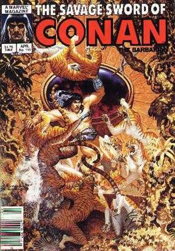 Marvel Comics - Savage Sword of Conan