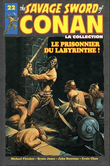 Hachette Collection - Tome 22 - Le prisonnier du labyrinthe